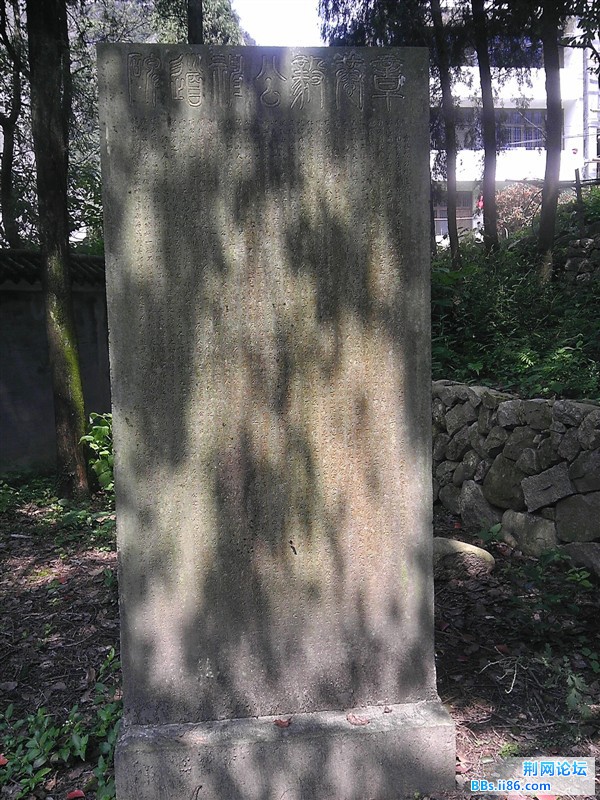 psb (31).jpg