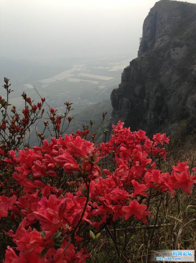 照片 161.jpg