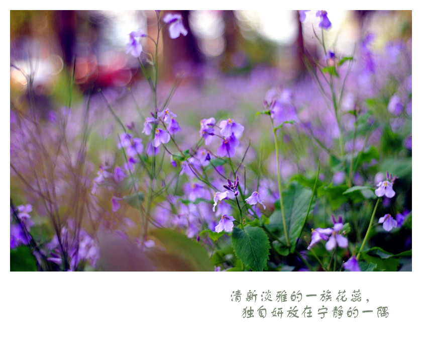 DSC_0370_副本_副本.jpg