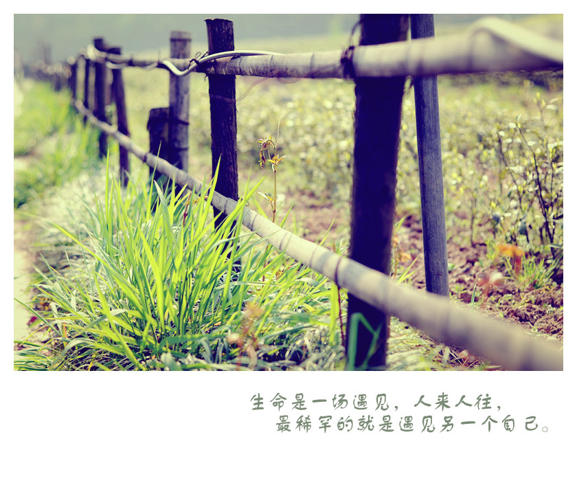 DSC_0465_副本_副本.jpg