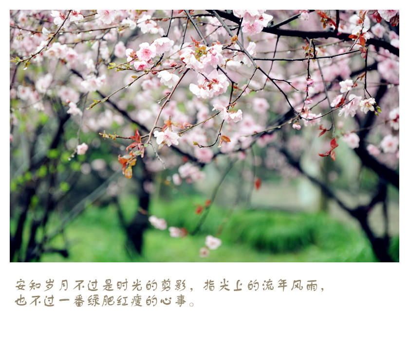 DSC_0982_副本.jpg