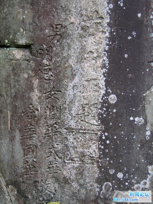 11039752419.jpg