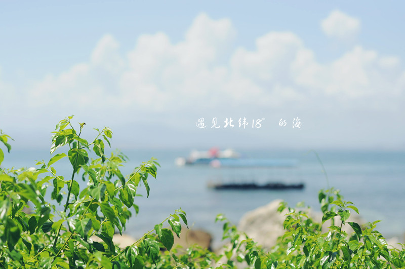 DSC_0399_副本.jpg
