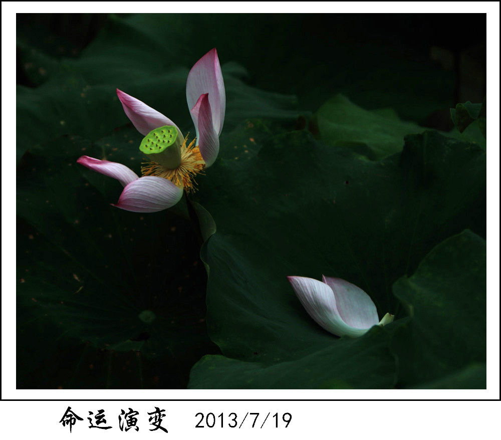 BI0E6092.JPG