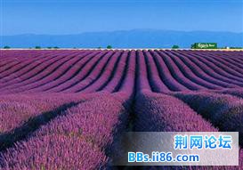 201307080952452215000.thumb.jpg