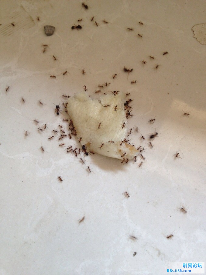 QQ图片20130802104341.jpg