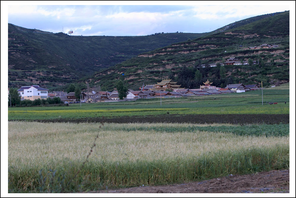 BI0E7239.JPG