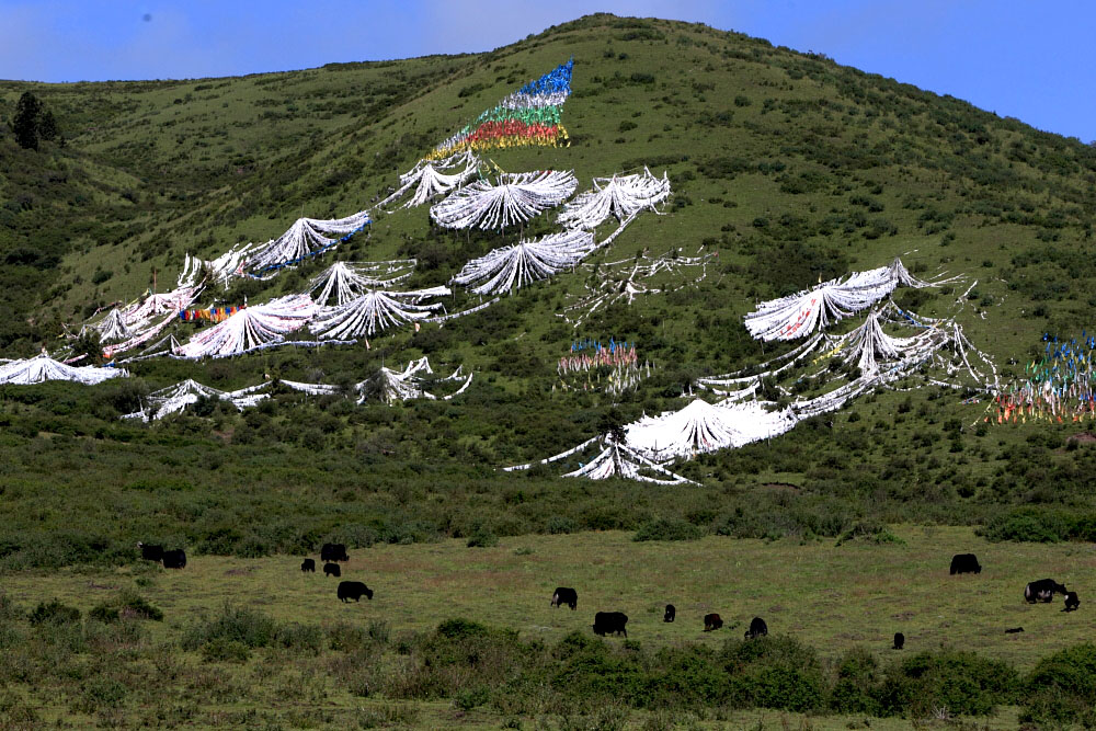 BI0E7266.JPG
