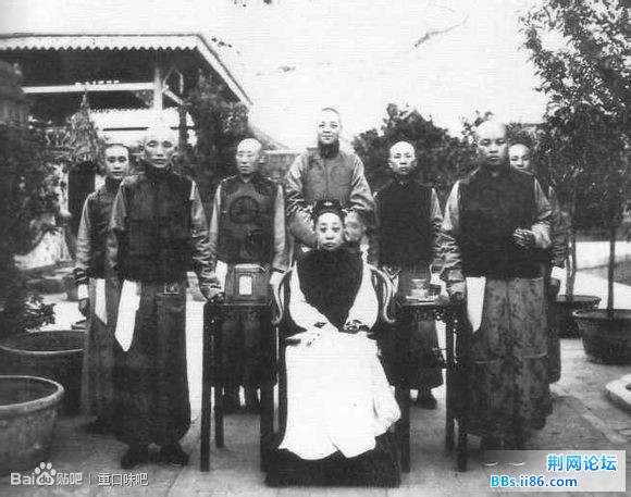 向日葵两排。豌豆呢，跟四季豆私奔了?>_<西瓜砸!!玉米酱准备。誓死跟僵尸拼了！噗~上玉米加农炮，冰西 ...