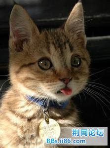 看着你碗里的食物