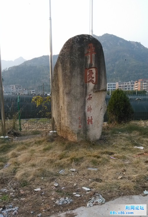 74621.jpg