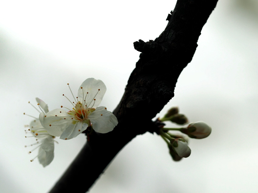 BI0E6591.JPG