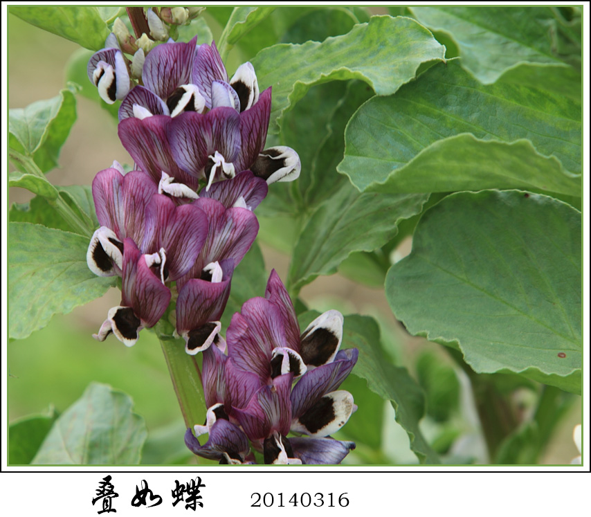 BI0E8704.JPG