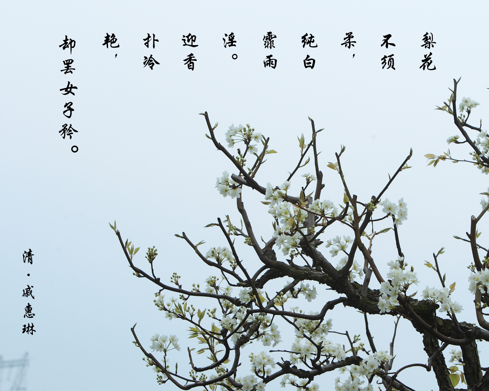BI0E9019.JPG
