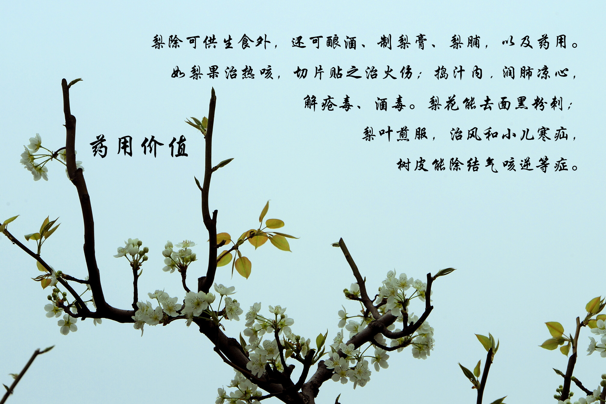 BI0E9020.JPG