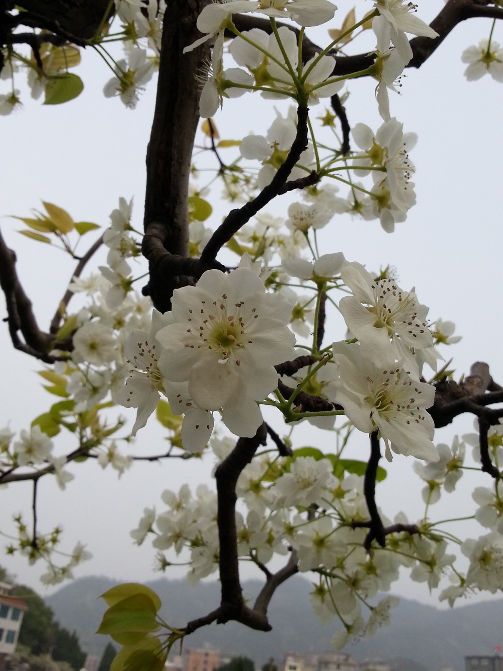 20140330_161552.jpg