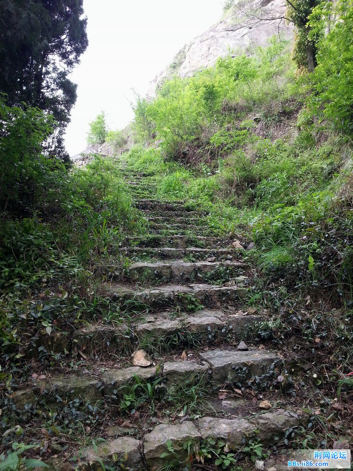 20140420_091138.jpg