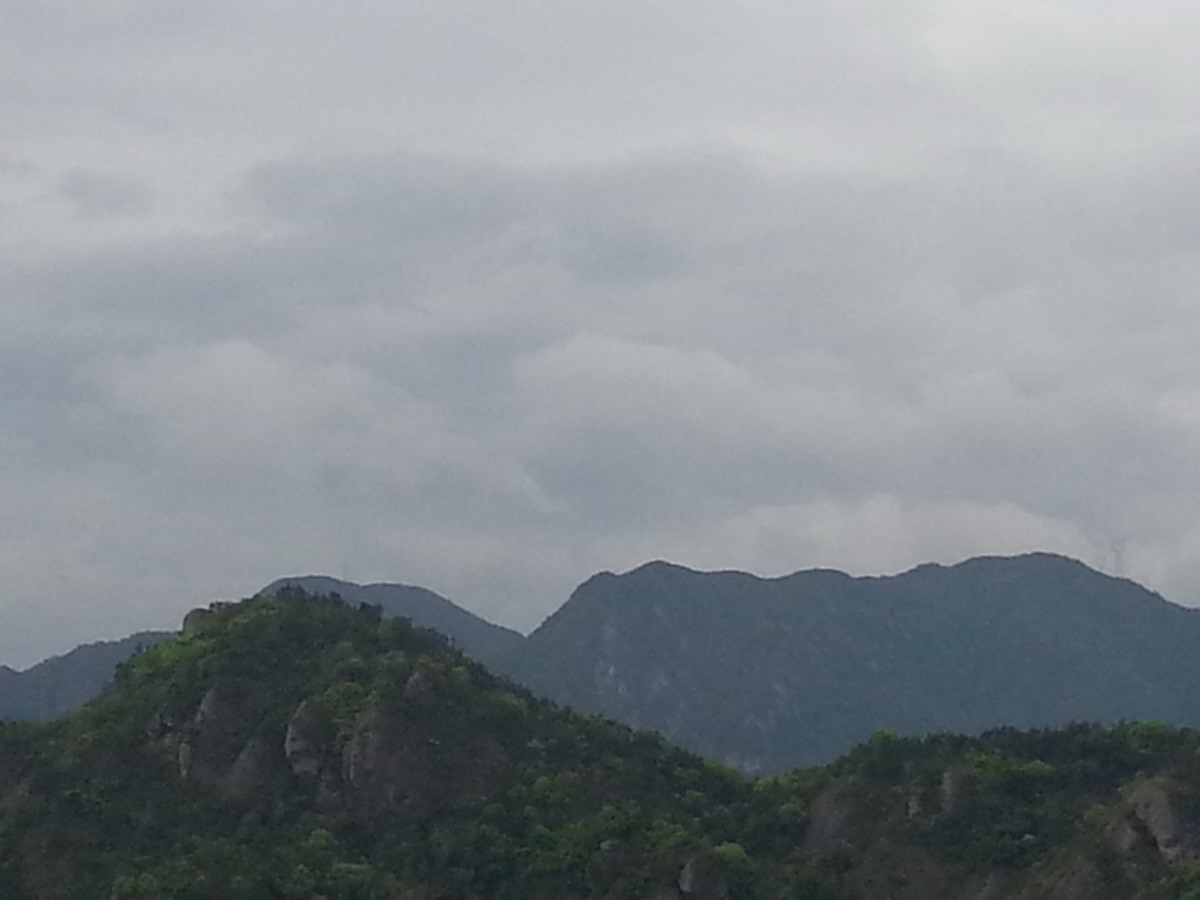 20140420_072945.jpg