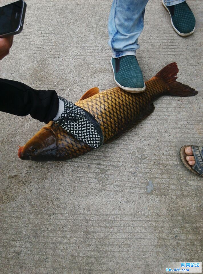 QQ图片20140514085854.jpg