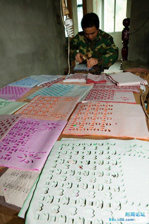 4548848.jpg