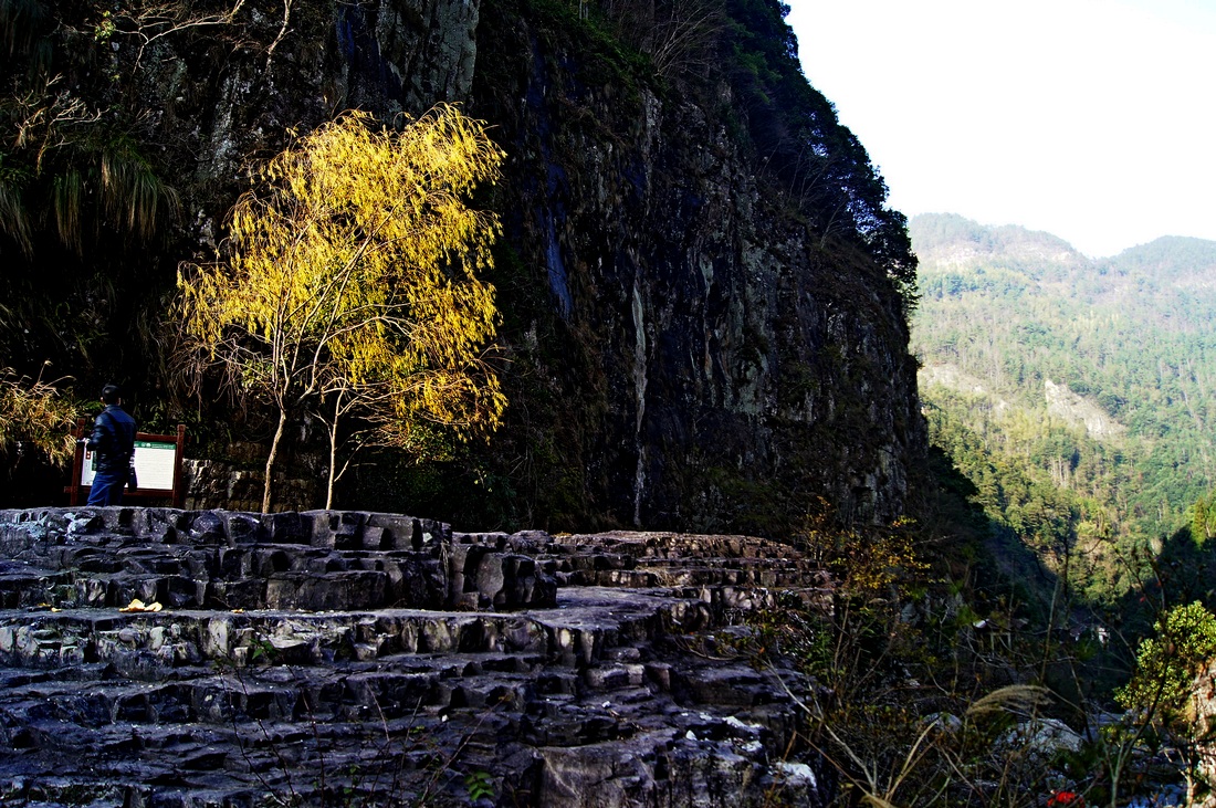 DSC09992.JPG