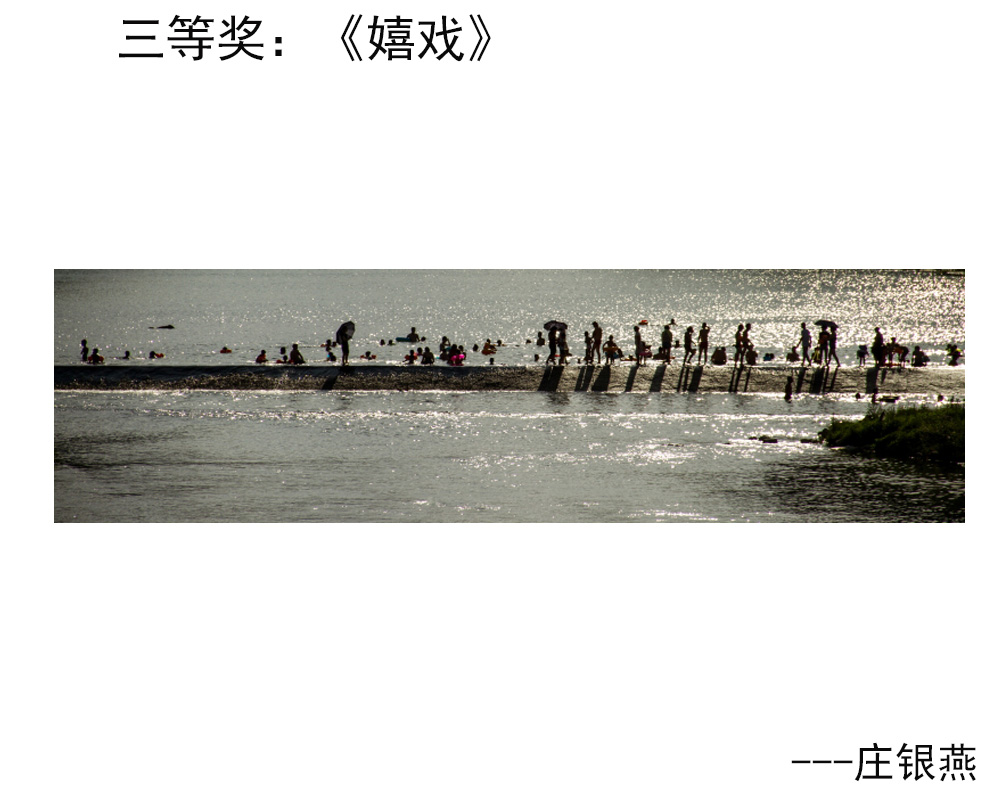 8三等奖：《嬉戏》---庄银燕.JPG