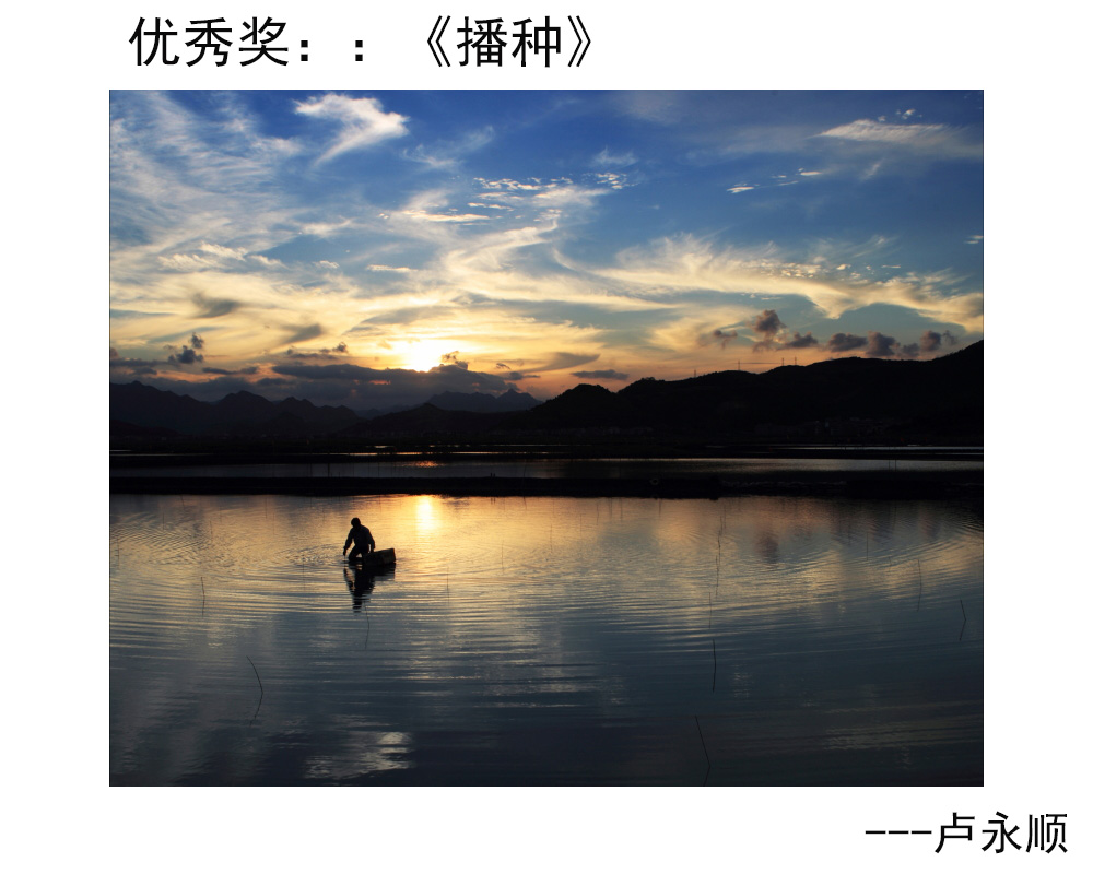 优秀奖：《播种》---卢永顺.JPG