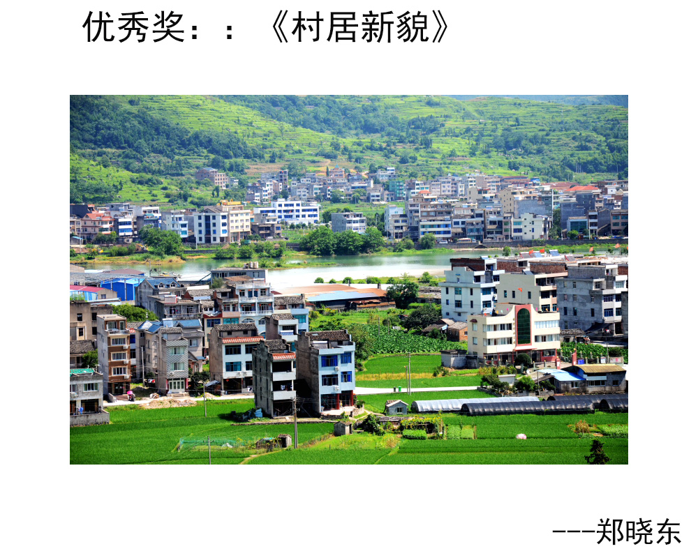 优秀奖：《村居新貌》---郑晓东.JPG