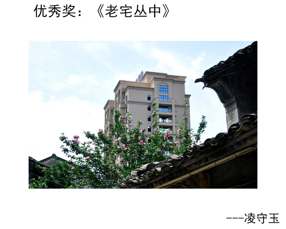优秀奖：《老宅丛中》---凌守玉.JPG