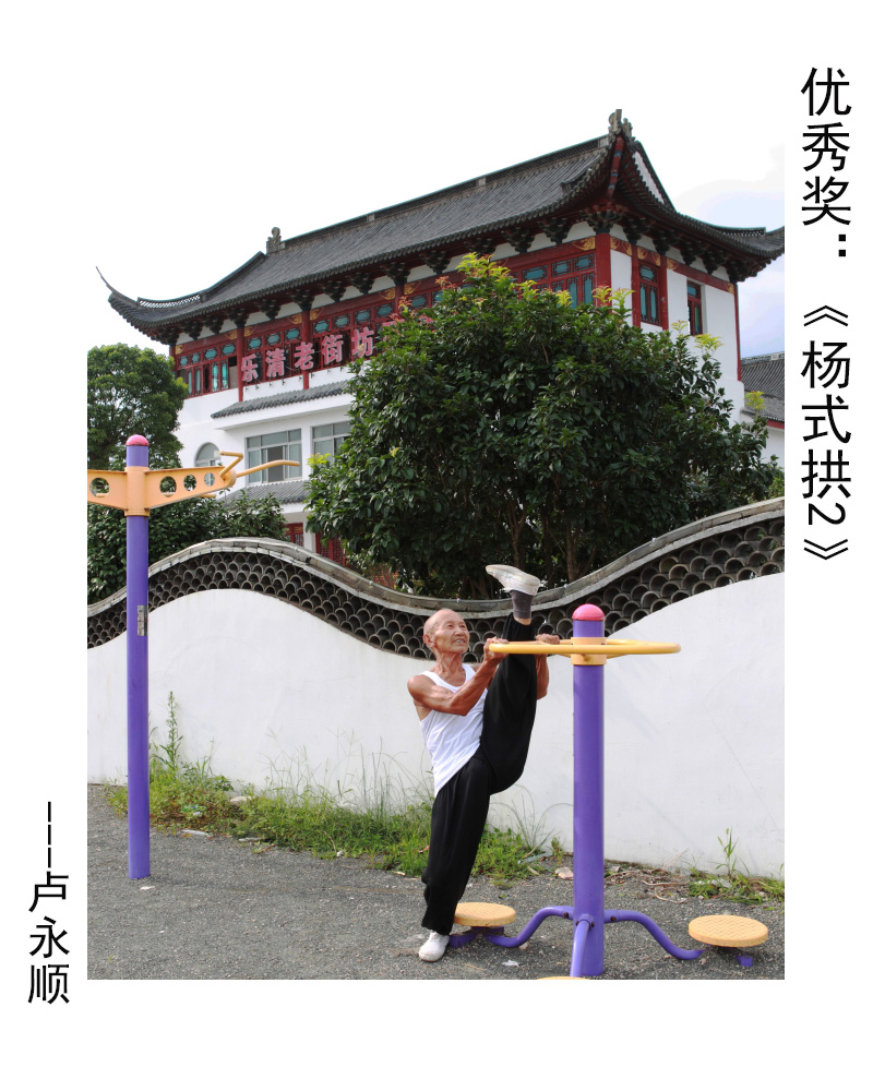 优秀奖：《杨式拱2》---卢永顺.JPG
