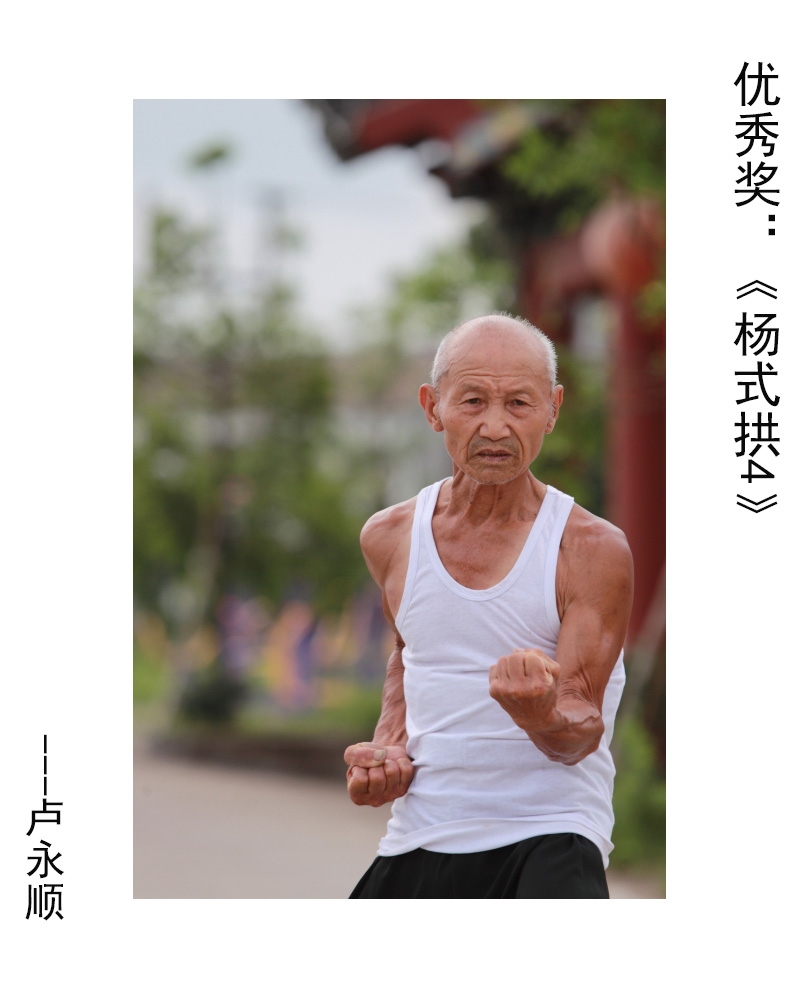 优秀奖：《杨式拱4》---卢永顺.JPG