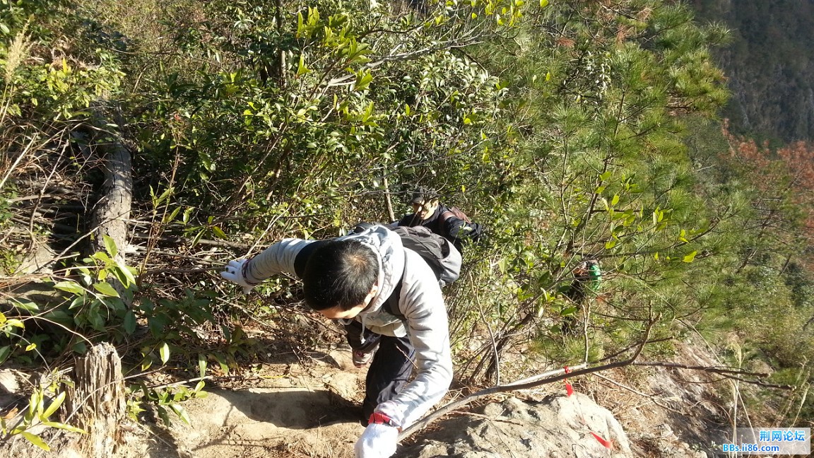 20150111_084552_眸目压缩.jpg