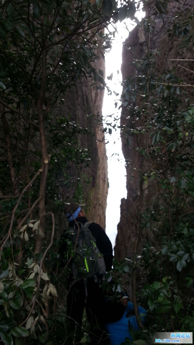 20150111_132821_眸目压缩.jpg