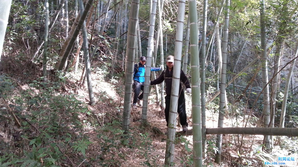 20150111_134000_眸目压缩.jpg