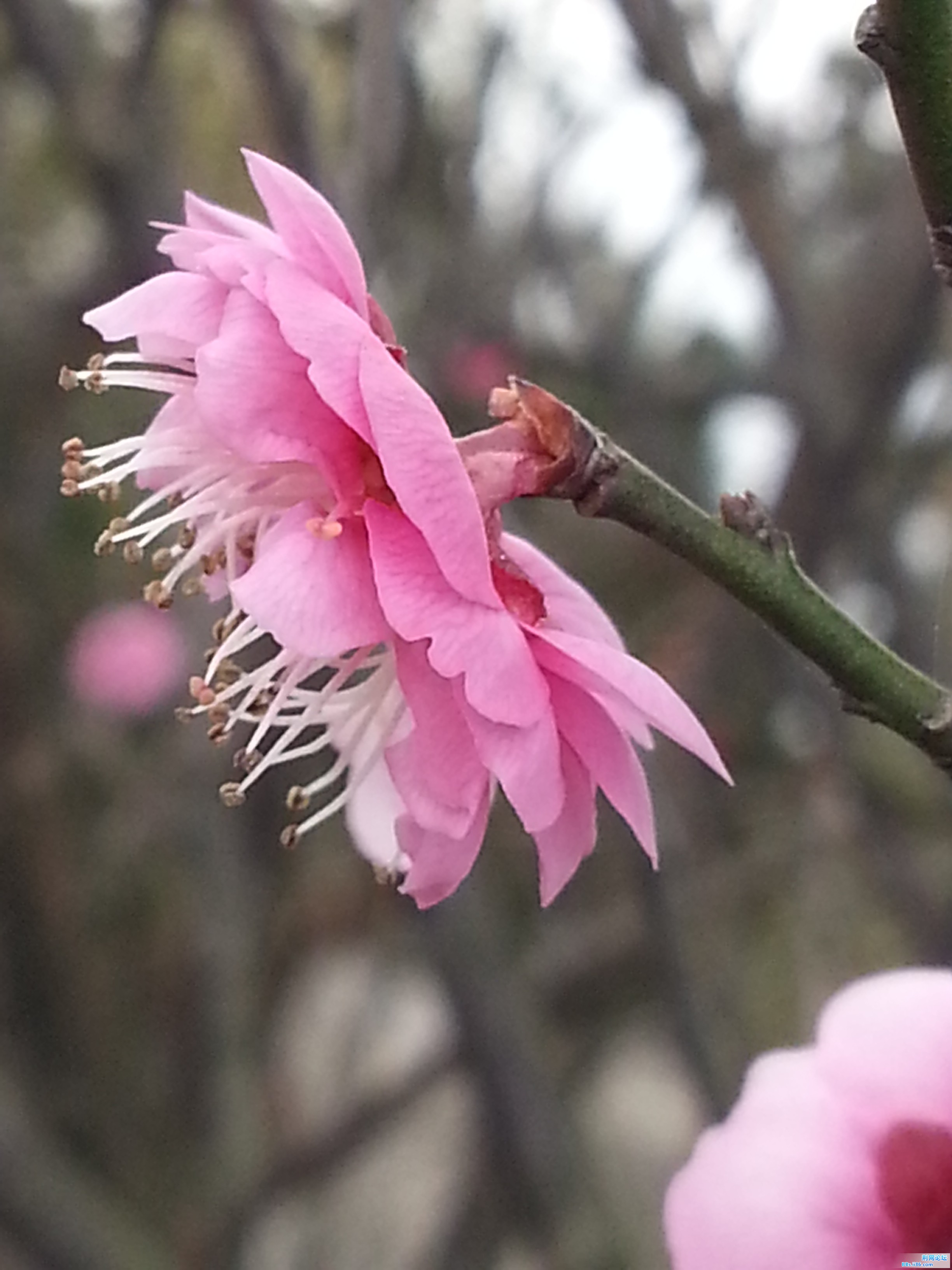20150124_111833.jpg