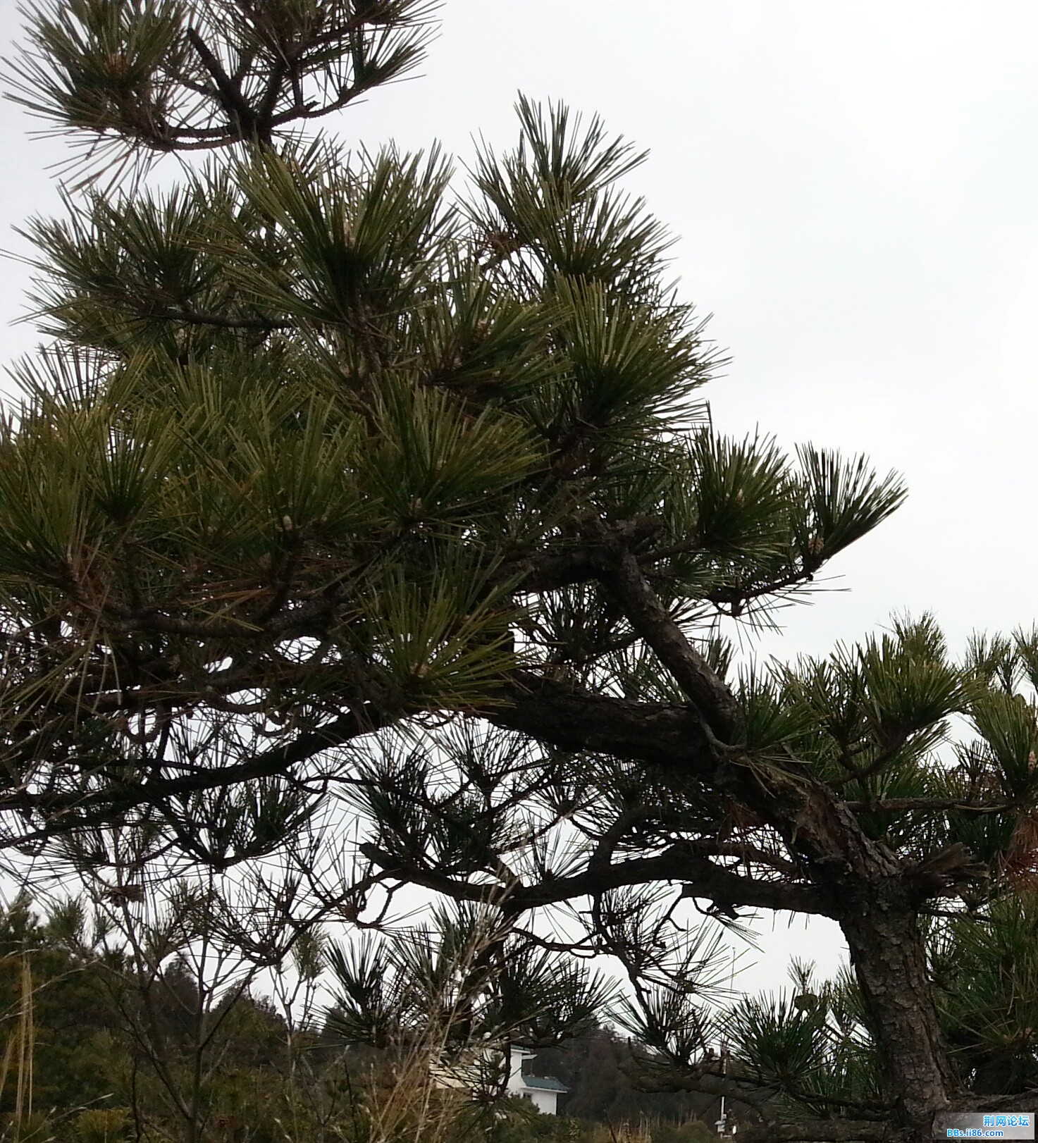 20150124_112239-2.jpg