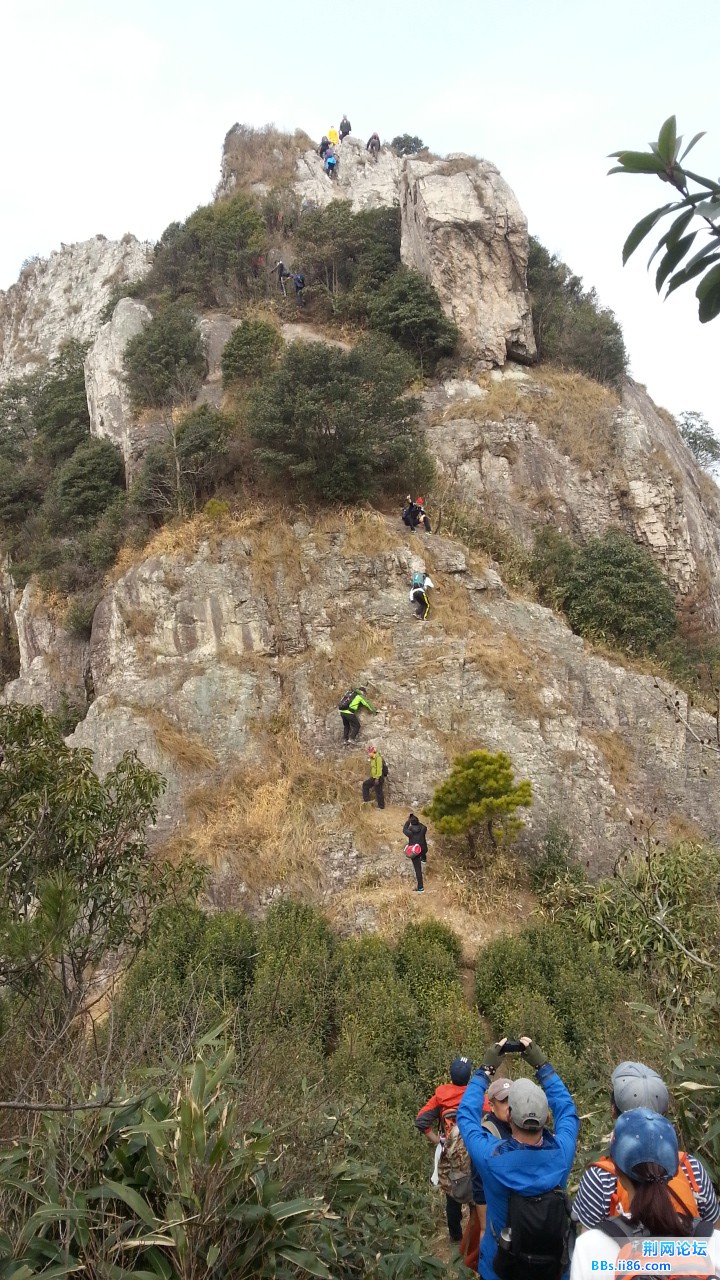 20150214_104924.jpg