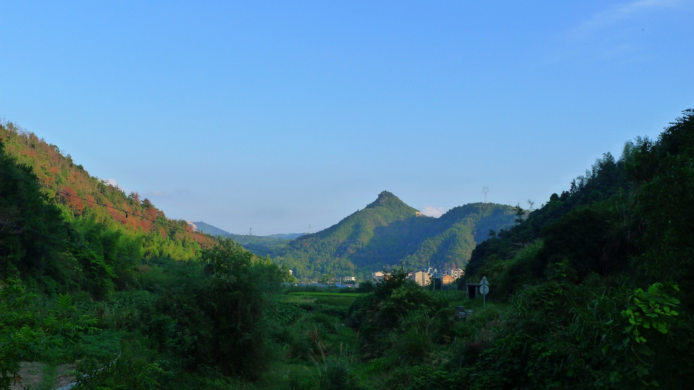 P1000218.jpg