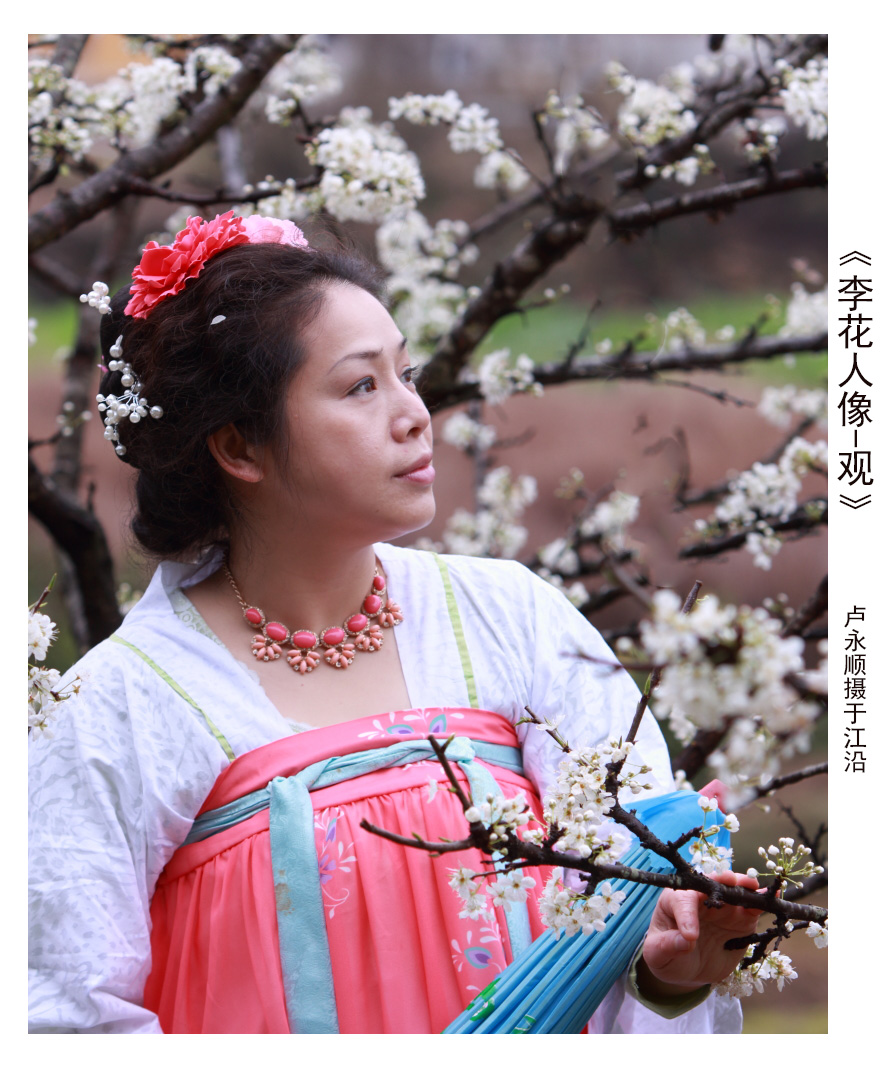 3《李花人像-观》   IMG_3080.JPG