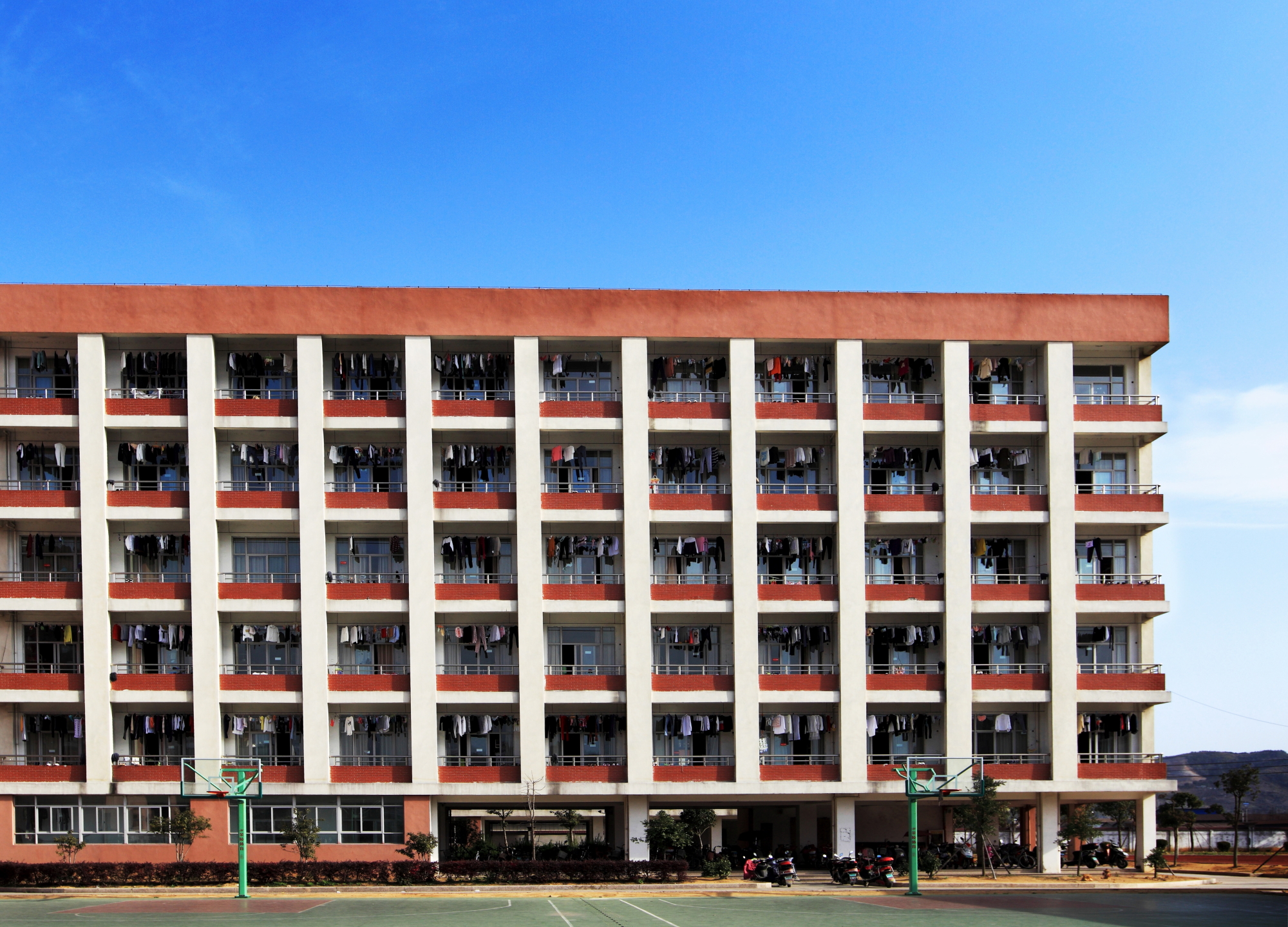 BI0E9486.JPG