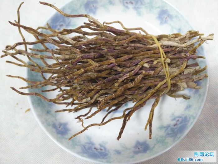 铁皮石斛烤条