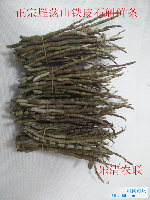 QQ图片20150325135631_副本.jpg