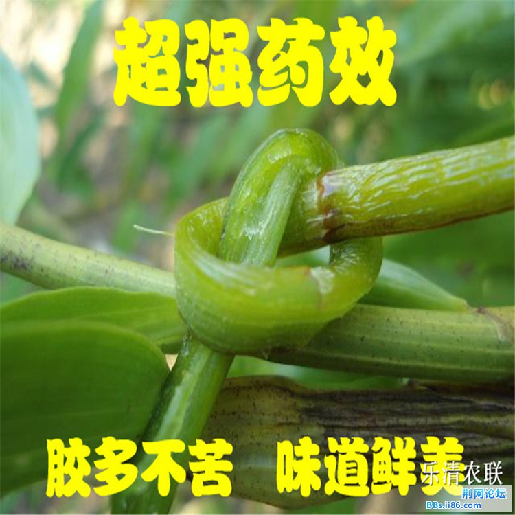 14_副本.jpg