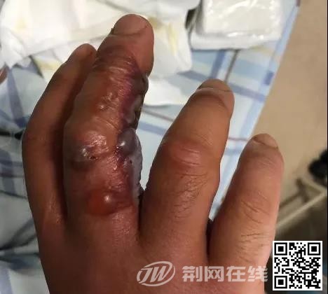 荆网新闻2.jpg
