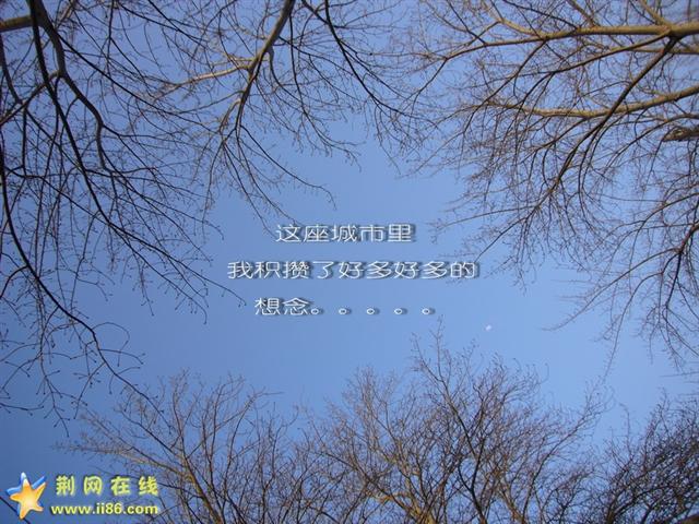 永远会有一人记得你