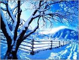 01snow_natural_thezone4u07s.jpg