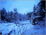 001snow_natural_thezone4u03s.jpg