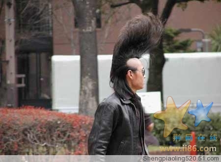 还有所谓的发型！