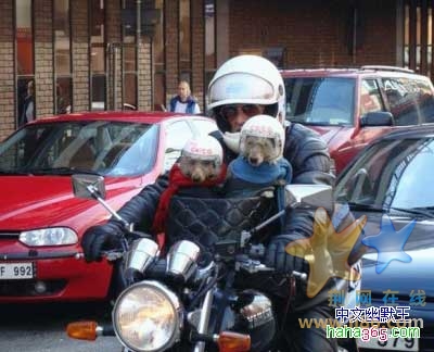 安全意识很重要