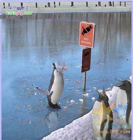 不看警告牌的后果